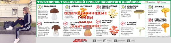соль ск Елизово