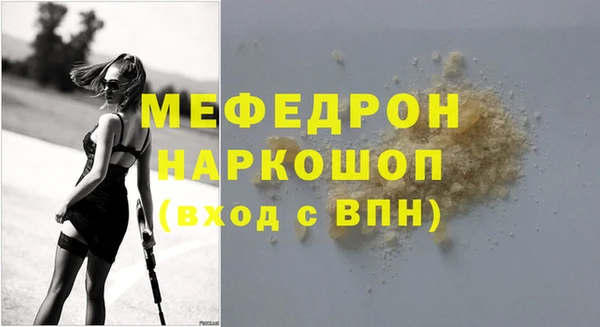 стаф Ельня