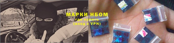 стаф Ельня
