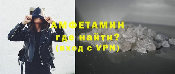 стаф Ельня